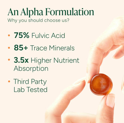 Men's Labs Shilajit Performance Blend