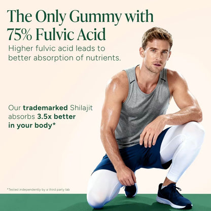 Men's Labs Shilajit Performance Blend