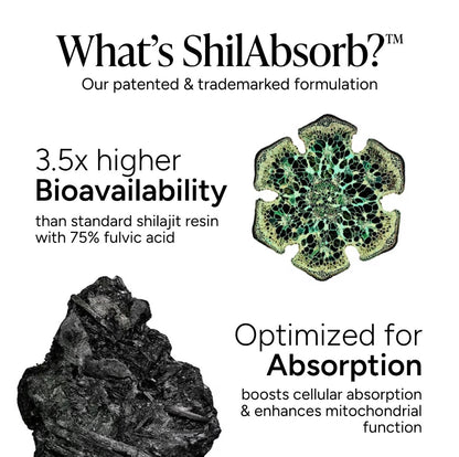 Men's Labs Shilajit Performance Blend